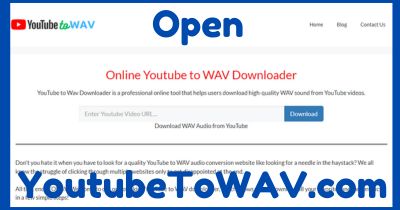 YouTube to WAV Converter - step 02