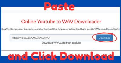 YouTube to WAV Converter - Step 03